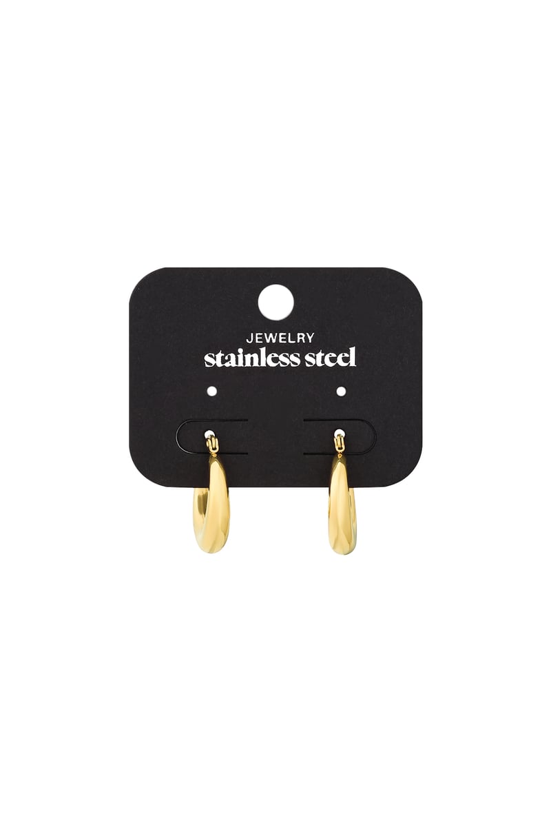Oorbellen Arched Goud kleur Stainless Steel