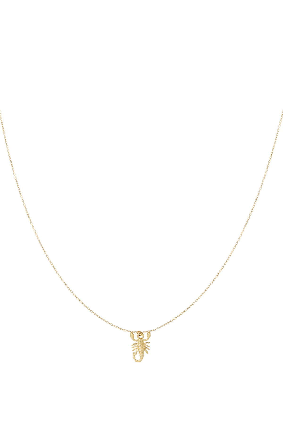 Scorpio Spirit ketting