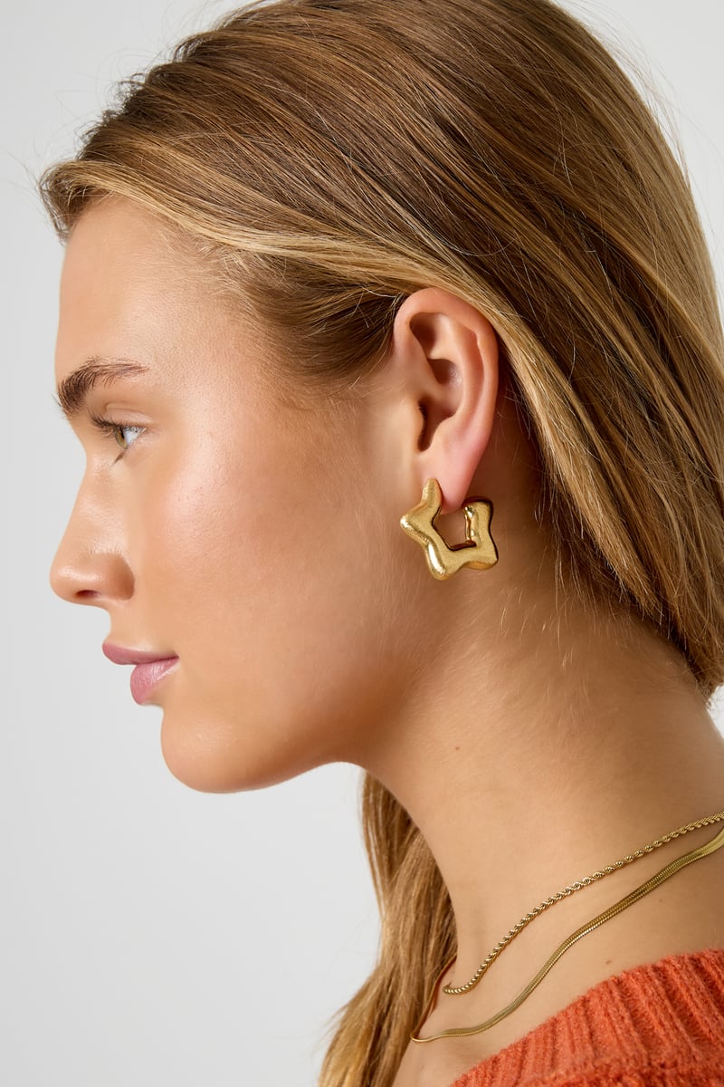 Creolen Ster Casual Dagelijks Eenvoudig Serie Dames sieraden