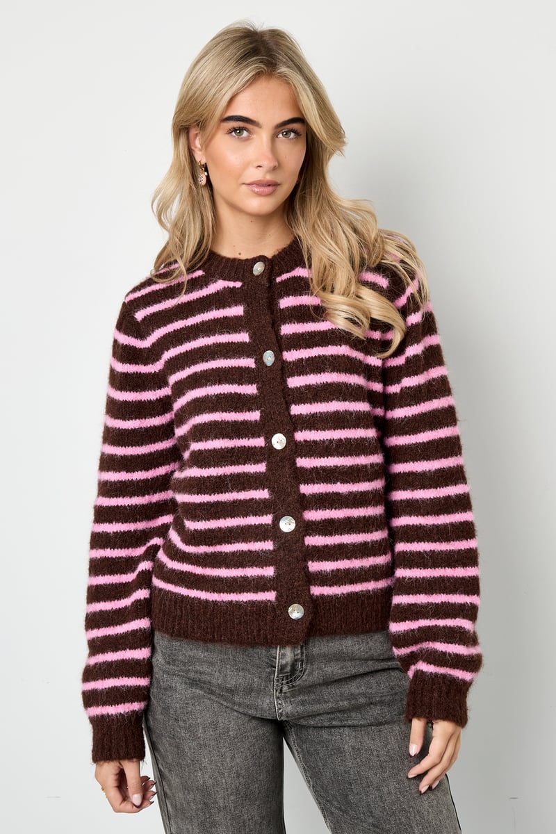 Polyestervezel (polyester) Gebreid vest Strepen Casual Herfst/Winterkleding