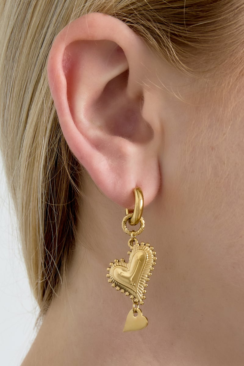 Oorbellen met druppel van roestvrij staal, hart, casual, dagelijks, eenvoudig, serie, damessieraden